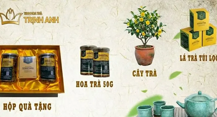 Công dụng của trà hoa vàng Đạ Huoai làm quà biếu sếp