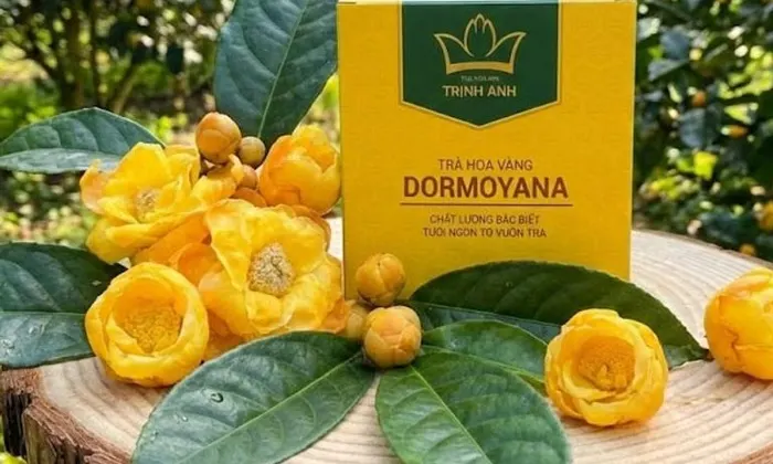 Tác dụng của trà hoa vàng túi lọc tại Cao Bằng