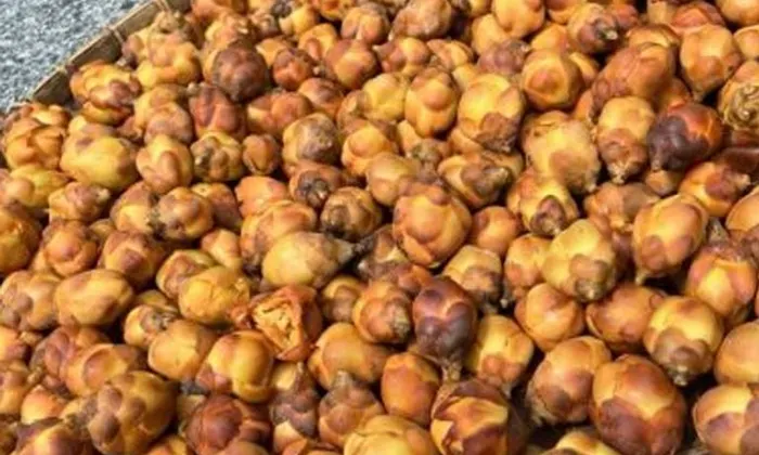 Tác dụng của trà hoa vàng cao cấp tại Bình Dương