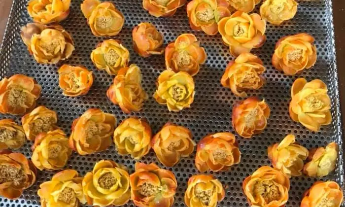 Vì sao hoa chè vàng đắt như vàng?