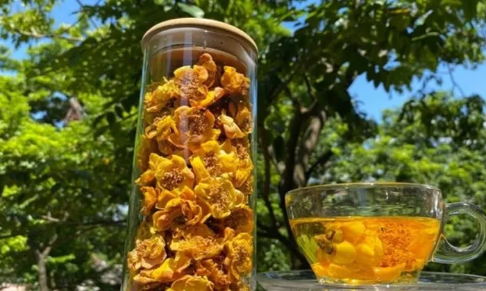 Trà Hoa Vàng Lâm Đồng Tinh Hoa Từ Thành Phố Sương Mù