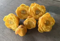 Trà hoa vàng túi lọc thumb 2