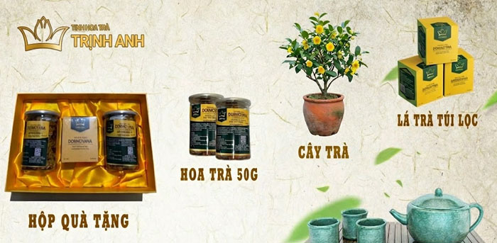 Công dụng của trà hoa vàng Đạ Huoai làm quà biếu sếp - Trà hoa vàng giá bao nhiêu, có đắt không?