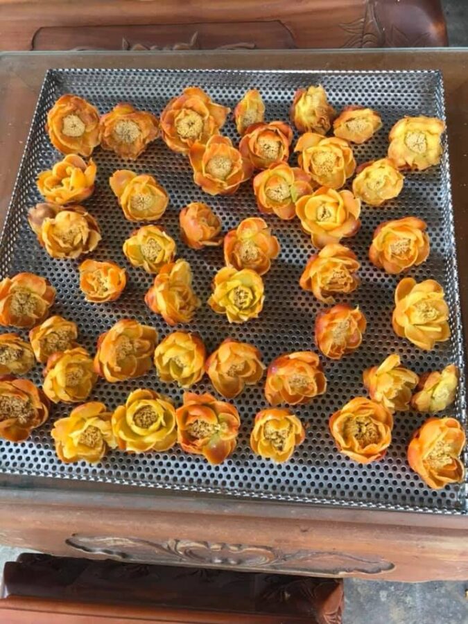 Tác dụng của trà hoa vàng loại 1 tại Đắk Nông - Máy sấy lạnh công nghệ cao thay đổi phương thức làm khô trà