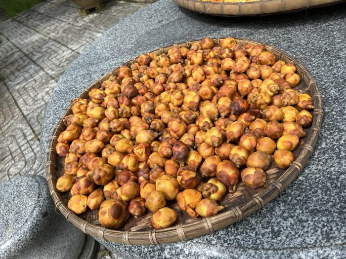 Tác dụng của trà hoa vàng nguyên bông tại Quảng Ngãi - Vì sao trà hoa vàng sấy lạnh đang là sản phẩm tiềm năng