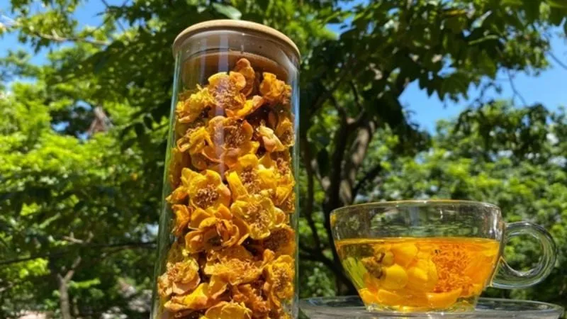 Trà Hoa Vàng Lâm Đồng Tinh Hoa Từ Thành Phố Sương Mù